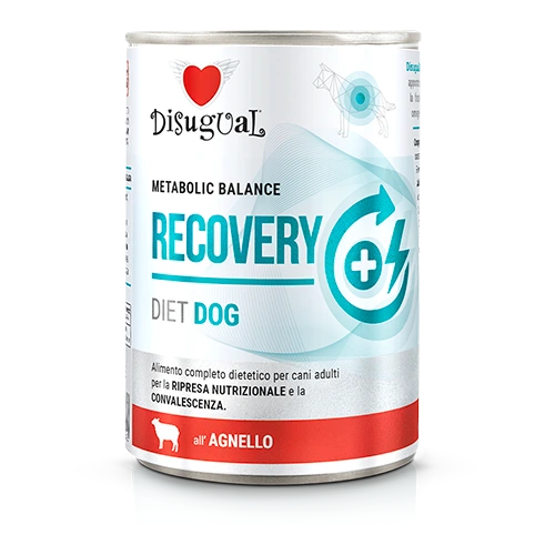 Disugual Metabolic Balance Recovery — Miel — 400 g